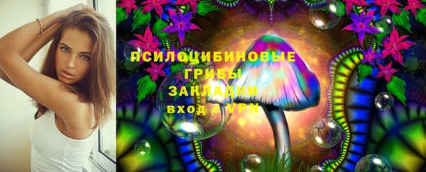 прущие крисы Алексин